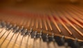 Piano bridge and strings closeup. Royalty Free Stock Photo