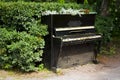 Piano in the bushes