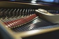 Piano chords and hammers from the inside