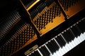 Piano close up. Grand piano keyboard closeup