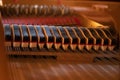 Piano dampers Royalty Free Stock Photo