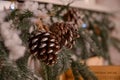 piano decor brown cones on green branches