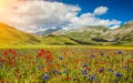 Piano Grande summer landscape, Umbria, Italy Royalty Free Stock Photo