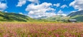 Piano Grande summer landscape, Umbria, Italy Royalty Free Stock Photo