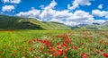 Piano Grande summer landscape, Umbria, Italy Royalty Free Stock Photo