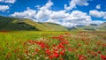 Piano Grande summer landscape, Umbria, Italy Royalty Free Stock Photo