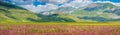 Piano Grande summer landscape, Umbria, Italy Royalty Free Stock Photo