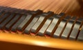 Piano head dampers closeup.