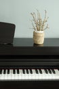 Piano and home decoration