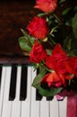 Piano Key and rose close up shot Royalty Free Stock Photo