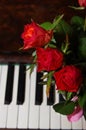 Piano Key and rose close up shot Royalty Free Stock Photo