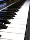 The piano keyboard with black and white keys and notes. Music and sound. Royalty Free Stock Photo