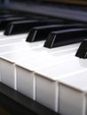 The piano keyboard with black and white keys and notes. Music and sound. Royalty Free Stock Photo