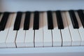 piano keyboard close up. White and black keys of instrument