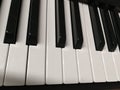 Piano keyboard keys close-up one octave