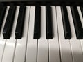 Piano keyboard keys close-up one octave