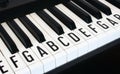 Piano keyboard keys with letters of notes of the scale superimposed