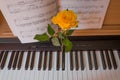 Piano keyboard with music book and yellow rose Royalty Free Stock Photo