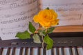 Piano keyboard with music book and yellow rose Royalty Free Stock Photo