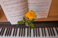Piano keyboard with music book and yellow rose Royalty Free Stock Photo