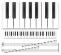 Piano keyboard. Realistic music instrument top view grand piano keyboard or synthesizer and musical notes vector