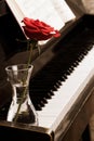 Piano keyboard and rose Royalty Free Stock Photo