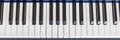 Piano Keyboard synthesizer