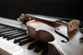 Piano keyboard with violin Royalty Free Stock Photo