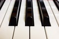 Piano keyboard white and black keys close up front view Royalty Free Stock Photo