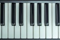 Piano keys, top view, full octave