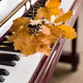 Piano keys with bright autumn oak leaves Royalty Free Stock Photo