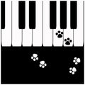 Piano keys with cat footprints