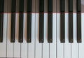 Piano keys close up. Royalty Free Stock Photo