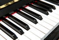Piano keys Royalty Free Stock Photo