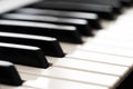 Piano keys close up, piano keyboard, black and white background Royalty Free Stock Photo