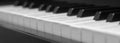Piano Keys Close-up, Side View Of A Musical Instrument