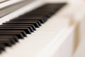 piano keys closeup . High quality photo Royalty Free Stock Photo