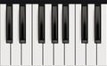 Piano keys. Realistic musical instrument for jazz band white and black keys with reflection effects vector picture Royalty Free Stock Photo