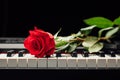 Piano keys and red rose Royalty Free Stock Photo