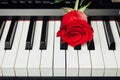 Piano keys and red rose Royalty Free Stock Photo