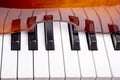 Piano keys are reflected in the violin fragment Royalty Free Stock Photo