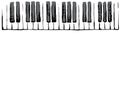 Piano Keys. Vector drawing