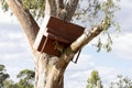 A piano lodged in a gum tree after historic flood