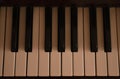 Piano musical instrument with white and black keys