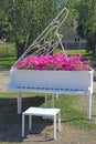 Piano with notes and petunia blossoming within. Keyboard musical instrument. Original landscape design Royalty Free Stock Photo