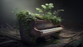 piano and plant natural theme