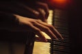 Piano player hands on the keyboard Royalty Free Stock Photo