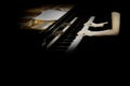 Piano player hands closeup Royalty Free Stock Photo