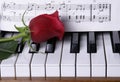 Piano with Red Rose Royalty Free Stock Photo