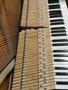 Piano repair strings inside a baby grand piano